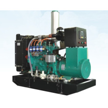 50kW Googol Wassergekühlter Notgasgenerator